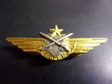 Brevet alat pilote d'occasion  Gray