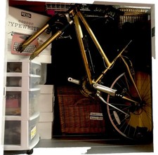 Gold bike for sale  Denver