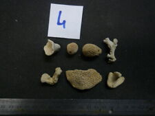 Corals coral lot d'occasion  Expédié en Belgium