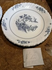 Teller speiseteller zwiebelmus gebraucht kaufen  Wittenberge