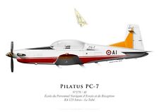 Print pilatus 579 d'occasion  Ribécourt-Dreslincourt