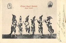 D1069 circo equestre usato  Lugo
