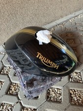 Triumph speed triple gebraucht kaufen  Neuenhagen