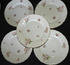 Porcelaine limoges 1900 d'occasion  Challans