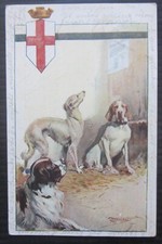 Tassa sui cani usato  Boves