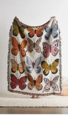 Calhoun butterfly moth for sale  Millbrae