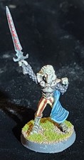 Citadel oldhammer painted for sale  Everett