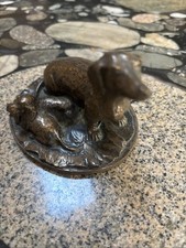 Bronze dachshund puppies for sale  CHRISTCHURCH