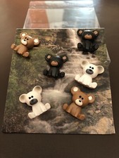 Bear magnets pack for sale  STOURBRIDGE