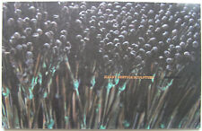 Harry bertoia grand d'occasion  Boulogne-Billancourt