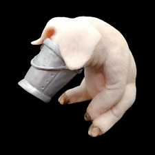 Piggin hell david for sale  UK