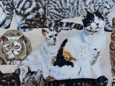 Timeless treasures fabric for sale  Escondido