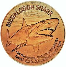 Copper round megalodon for sale  Manhattan