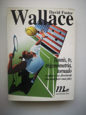 David foster wallace usato  Polcenigo