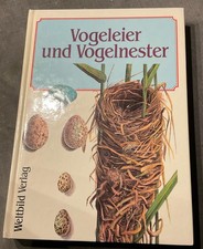 Vogeleier vogelnester gebraucht kaufen Vogeleier vogelnester gebraucht kaufen  Bad Mergentheim