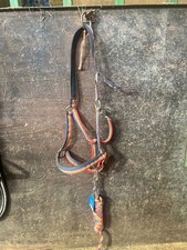 Full headcollars for sale  TAMWORTH