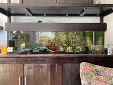 Aquarium 300 liter gebraucht kaufen  Wuppertal