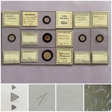 Vintage group diatom for sale  LANCING