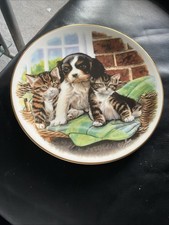 Collectors plate playful for sale  LONDON
