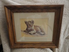 Framed lion cub for sale  Riverside