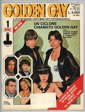 Fotoromanzo golden gay usato  Milano