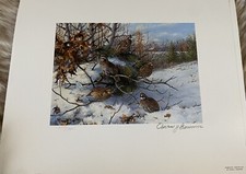 1983 int quail for sale  Oneonta