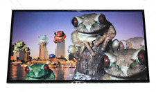 Frogs jacksonville florida for sale  Middleburg