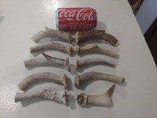 antler crown for sale  Erlanger