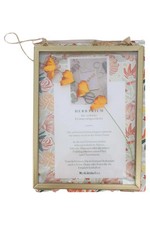 Little box herbarium gebraucht kaufen  Deutschland