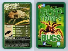 Two spotted spider for sale  SLEAFORD