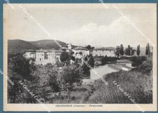 Colognole livorno. panorama. usato  Pistoia