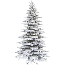 7.5 ft. pine for sale  Unadilla