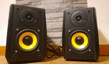 Dynavox 1000m aktiv gebraucht kaufen  Stadtoldendorf
