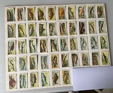 Freshwater fish select for sale  BRISTOL