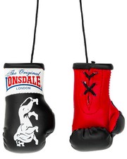 Lonsdale mini boxhandschuhe gebraucht kaufen  Neuss