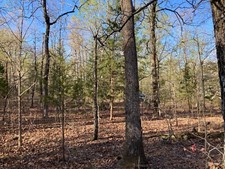 Large land lot for sale  Ash Flat