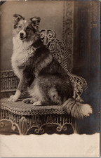 Postcard real photo for sale  Dunellen