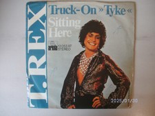 Single rex truck gebraucht kaufen  Schiffweiler