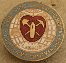 Antique enamel badge for sale  WATERLOOVILLE