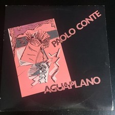 Doppio vinile 2x12 usato  Peschiera Borromeo