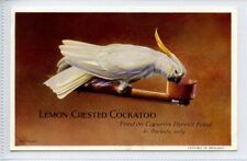 Capern bird seed for sale Capern bird seed for sale  KEIGHLEY