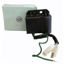 Centralina elettronica 3289541 usato  Pratola Peligna