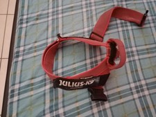 Pettorina per cani usato  Torino