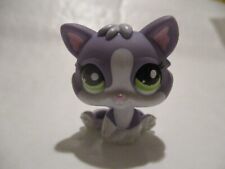 Petshop chaton chat d'occasion  Bailleul