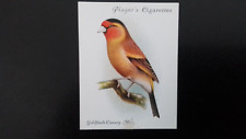Player 1935. avairy for sale  WATFORD