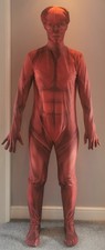 Anatomy muscle suit for sale  CHORLEY