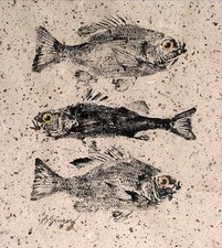 Two bluegills one for sale  Factoryville