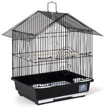 Parakeet manor bird for sale  Seattle
