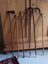 Collezione bastoni passeggio usato  Fauglia