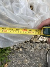Extra long ladder. for sale  YEOVIL
